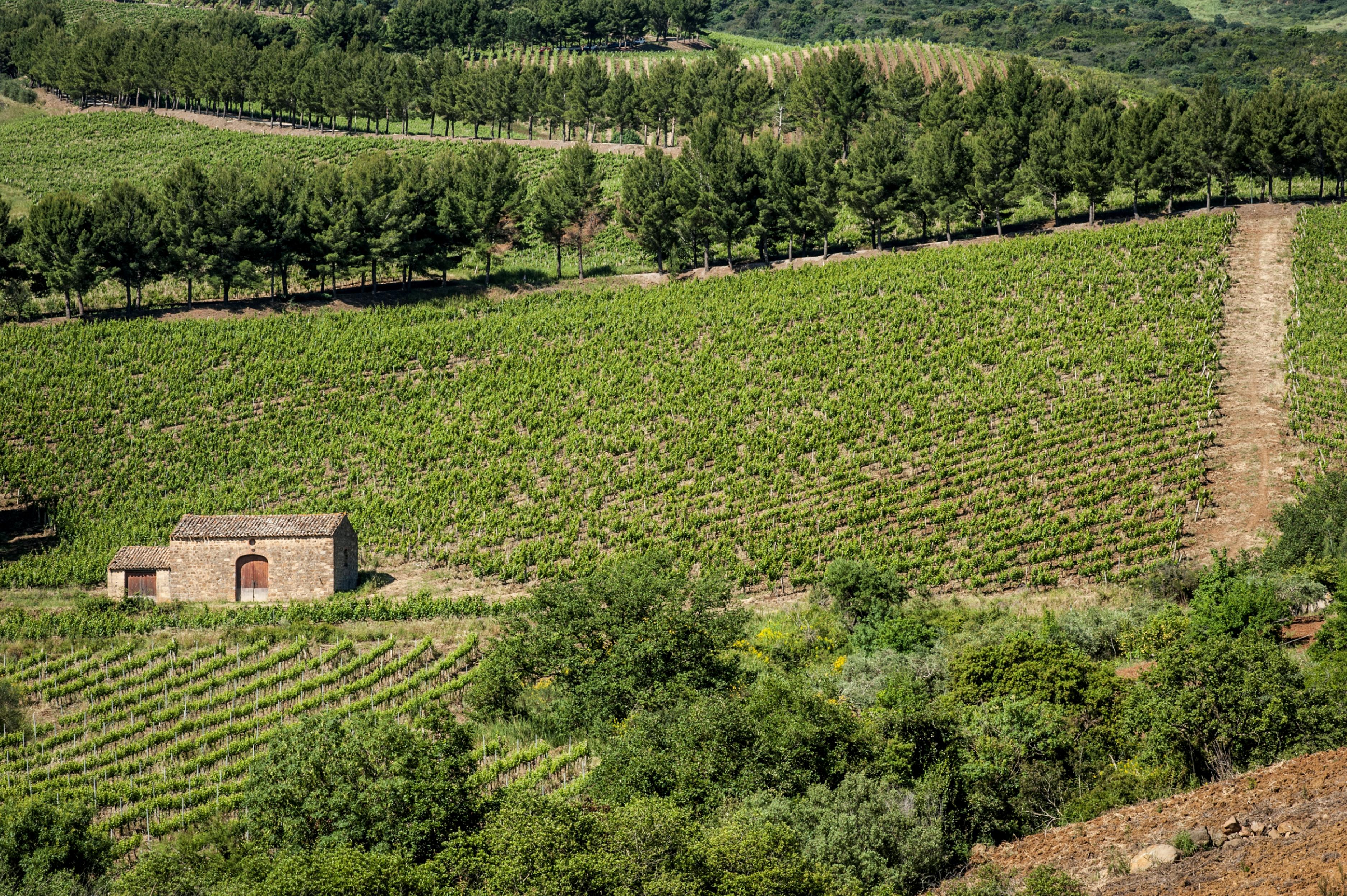 Relais Abbazia Santa Anastasia Resort & Winery Castelbuono  Exterior photo